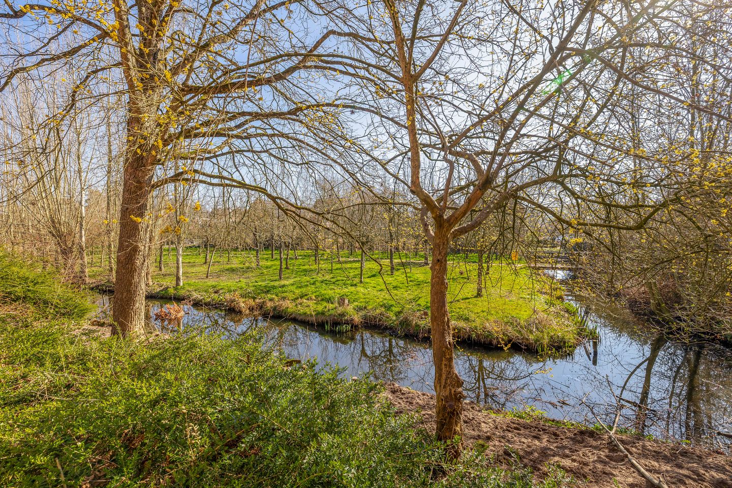 Foto 35 van Blijenburghsweer 19