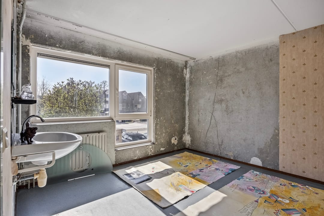 Foto 13 van Karveel 54 24