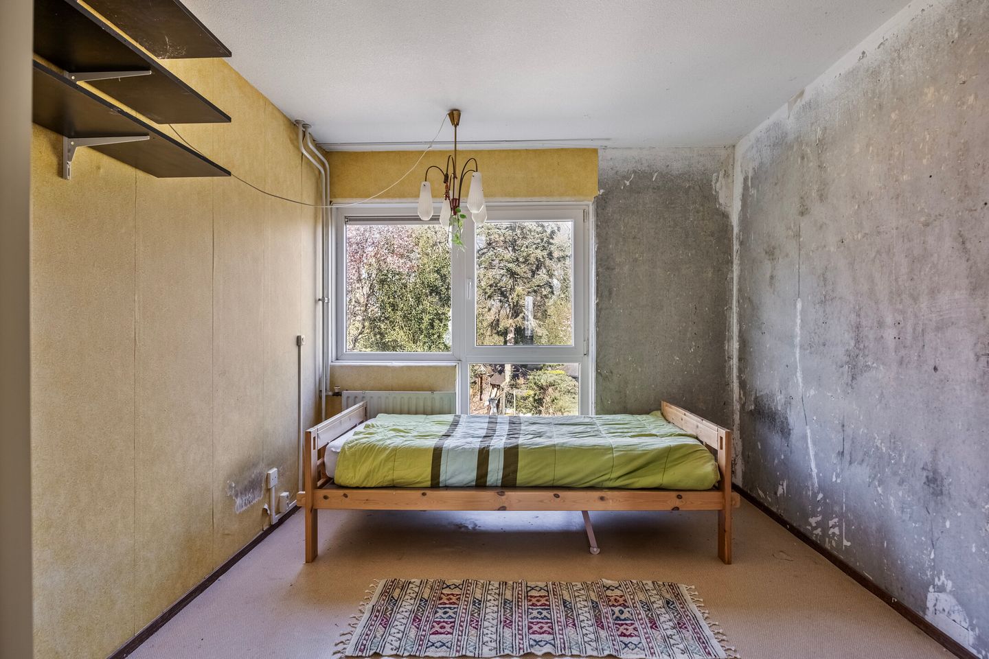 Foto 14 van Karveel 54 24