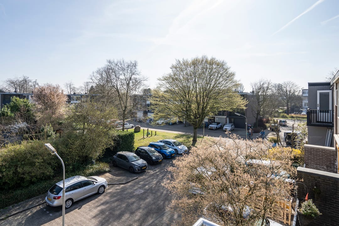 Photo 38 of Hoofdwal 115