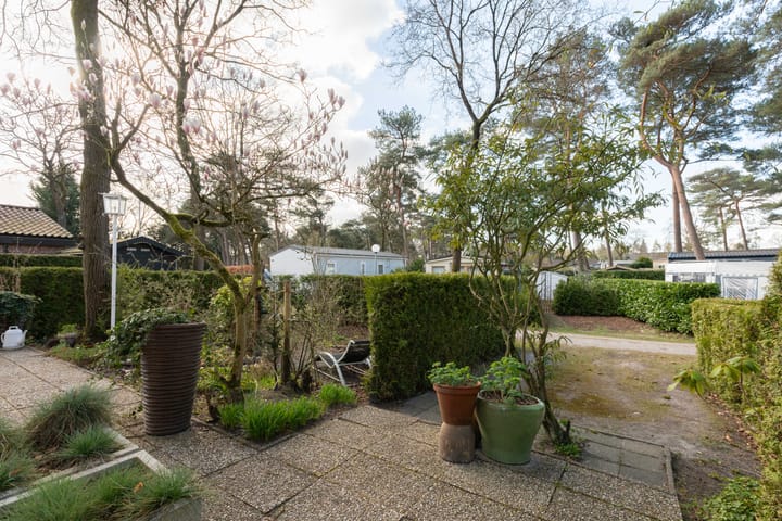 Photo 5 of Strokel 23-20