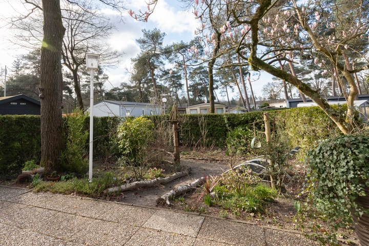 Photo 6 of Strokel 23-20