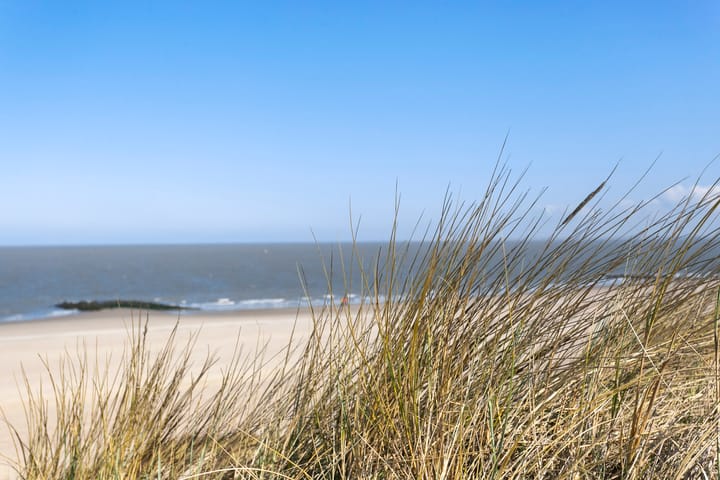 Photo 19 of Duinwekken 29-412