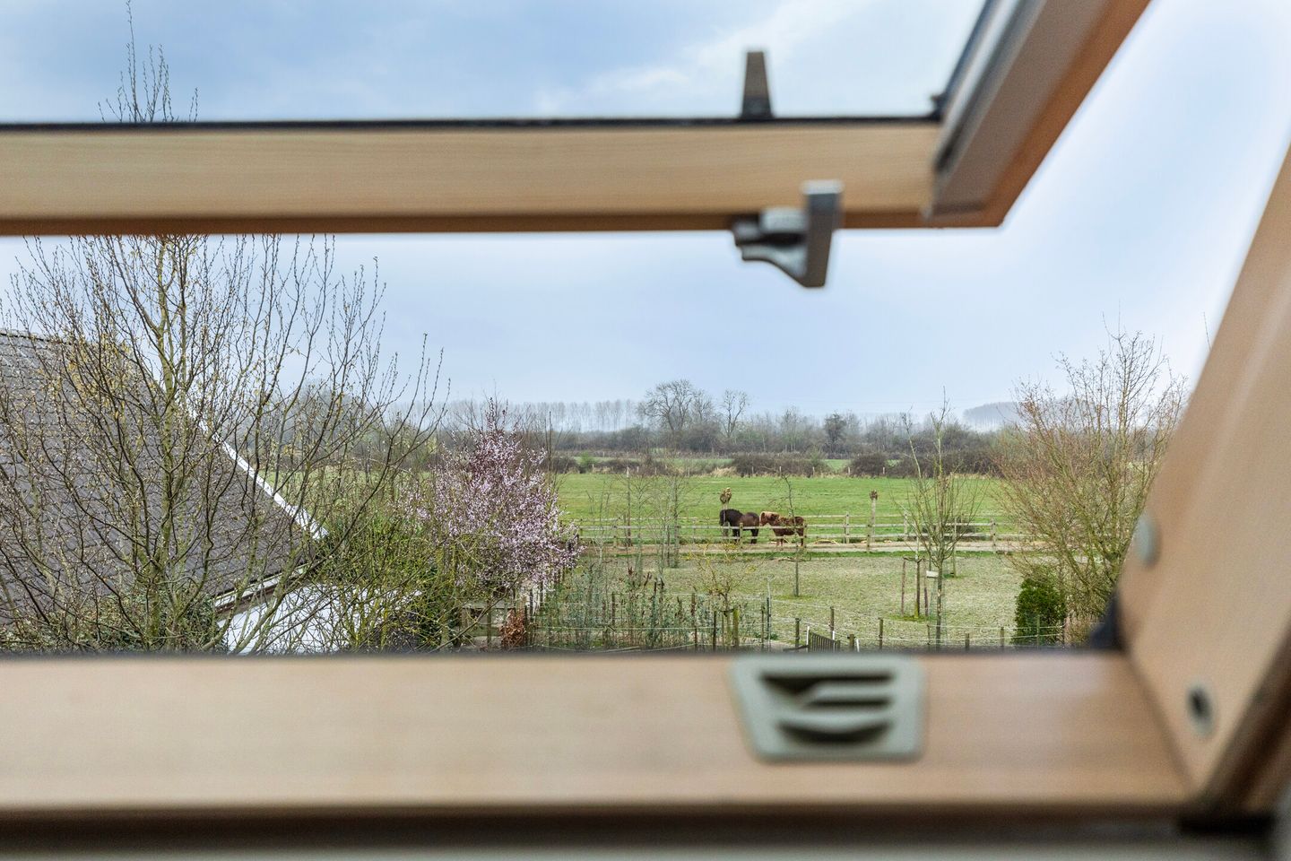 Foto 34 van van der Poest Clementstraat 38