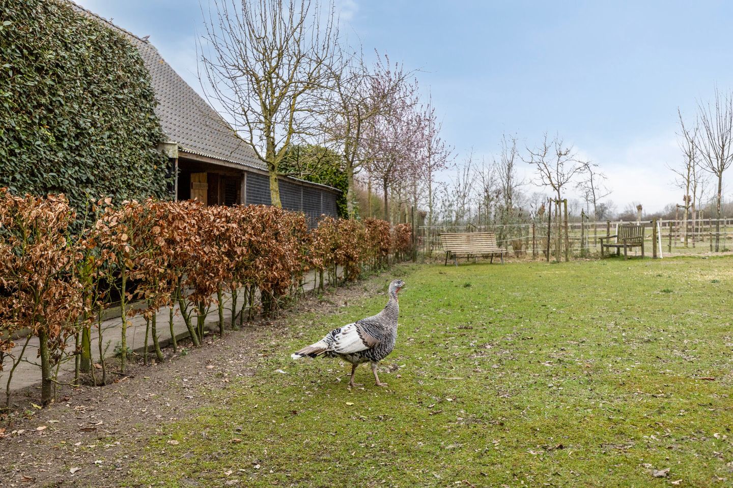 Foto 44 van van der Poest Clementstraat 38