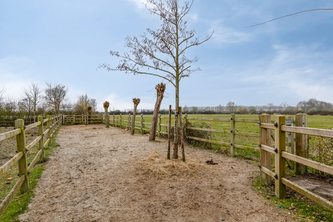 Foto 46 van van der Poest Clementstraat 38