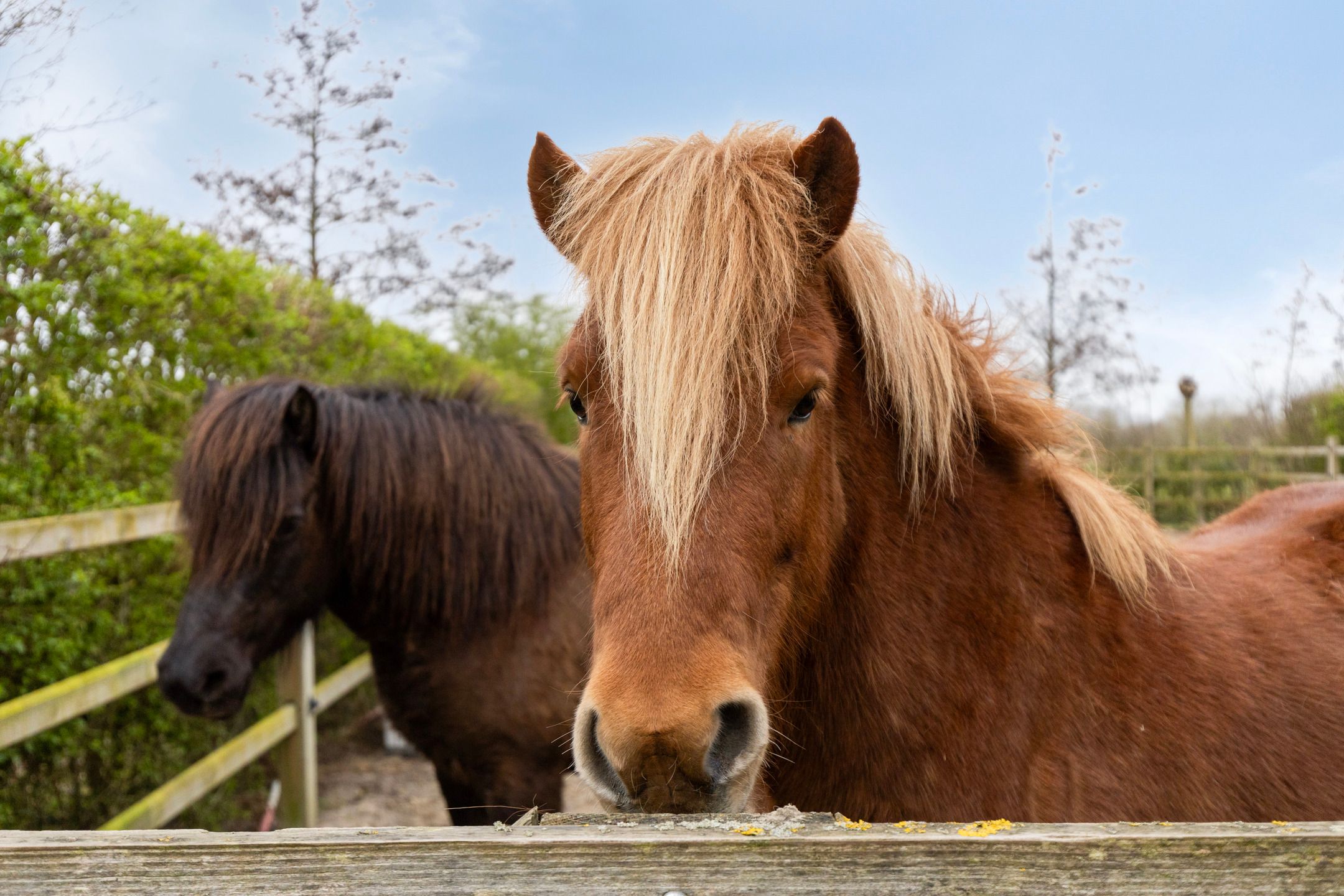 Foto 48 van van der Poest Clementstraat 38