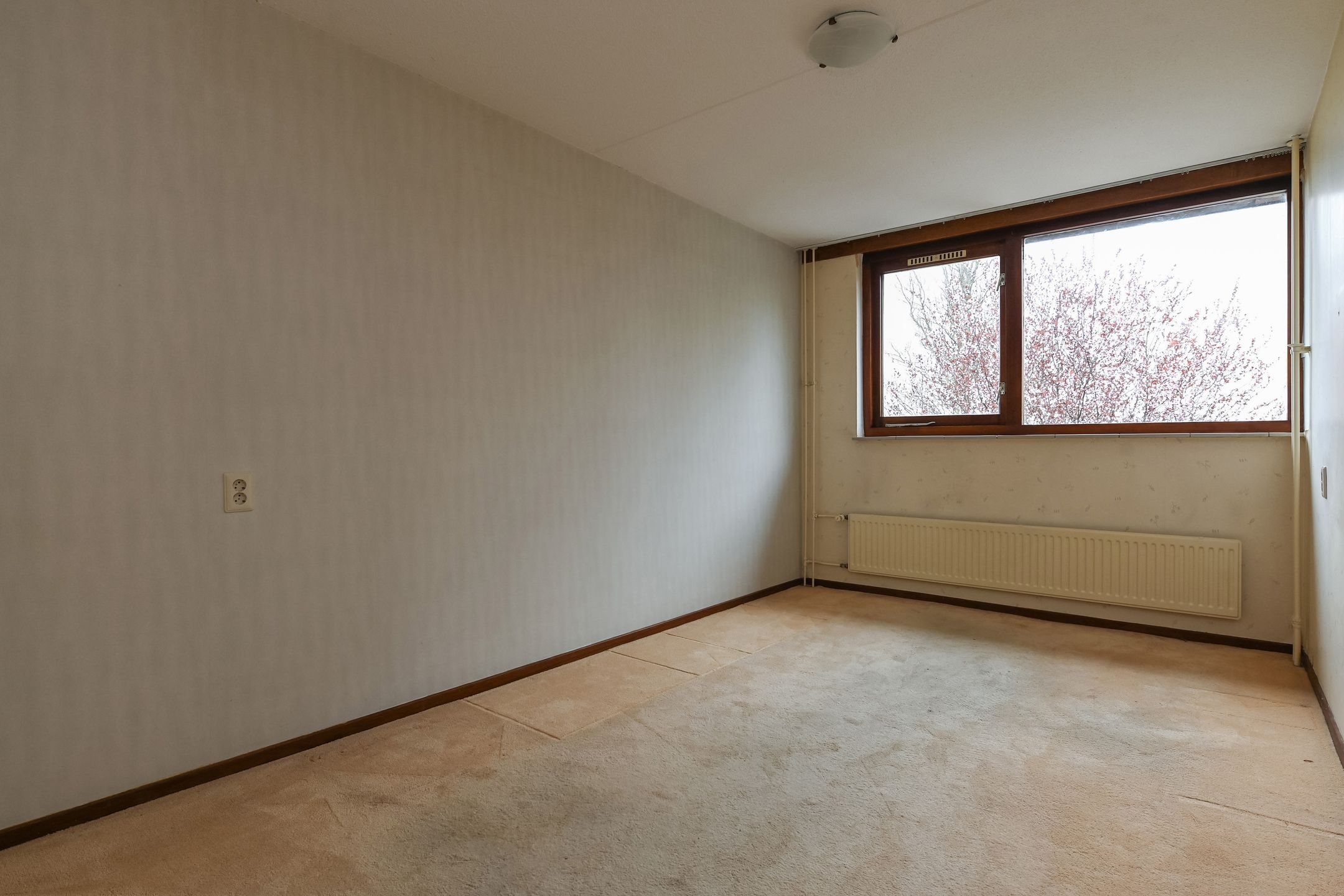 Foto 39 van César Franckrode 38