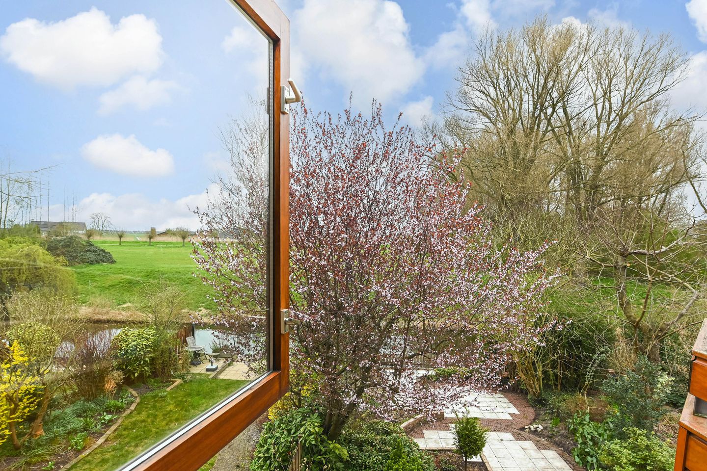 Foto 40 van César Franckrode 38