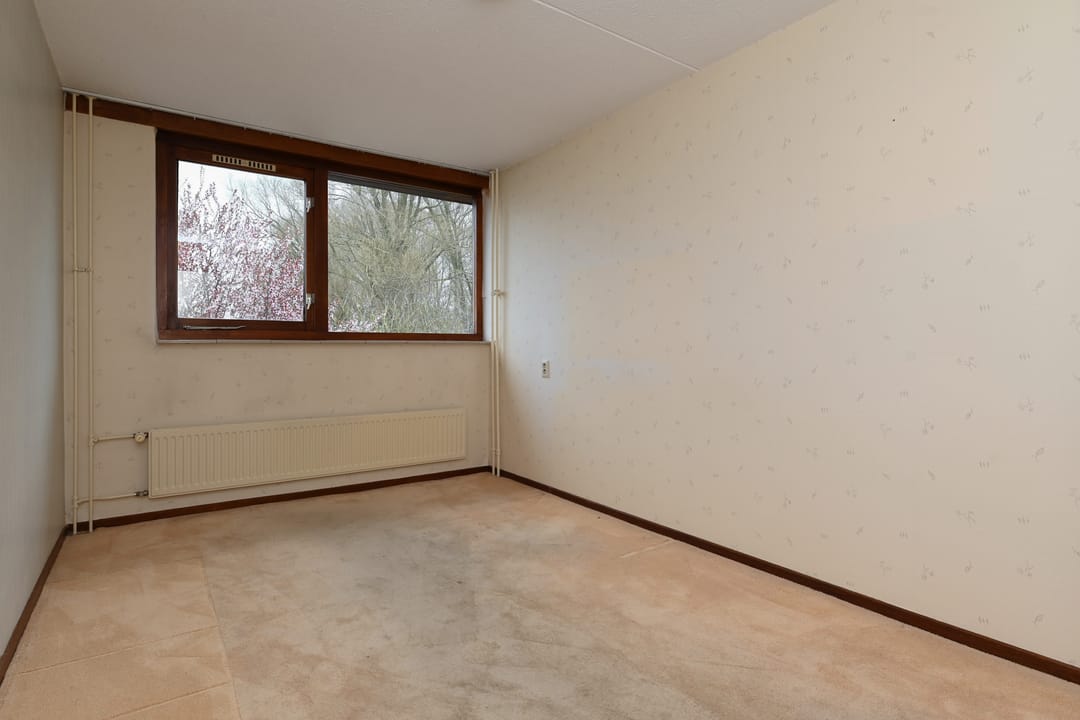 Foto 41 van César Franckrode 38