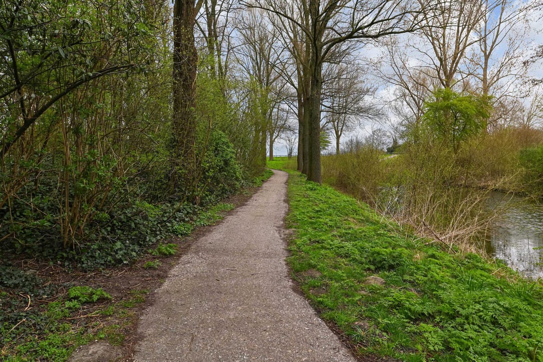 Foto 62 van César Franckrode 38