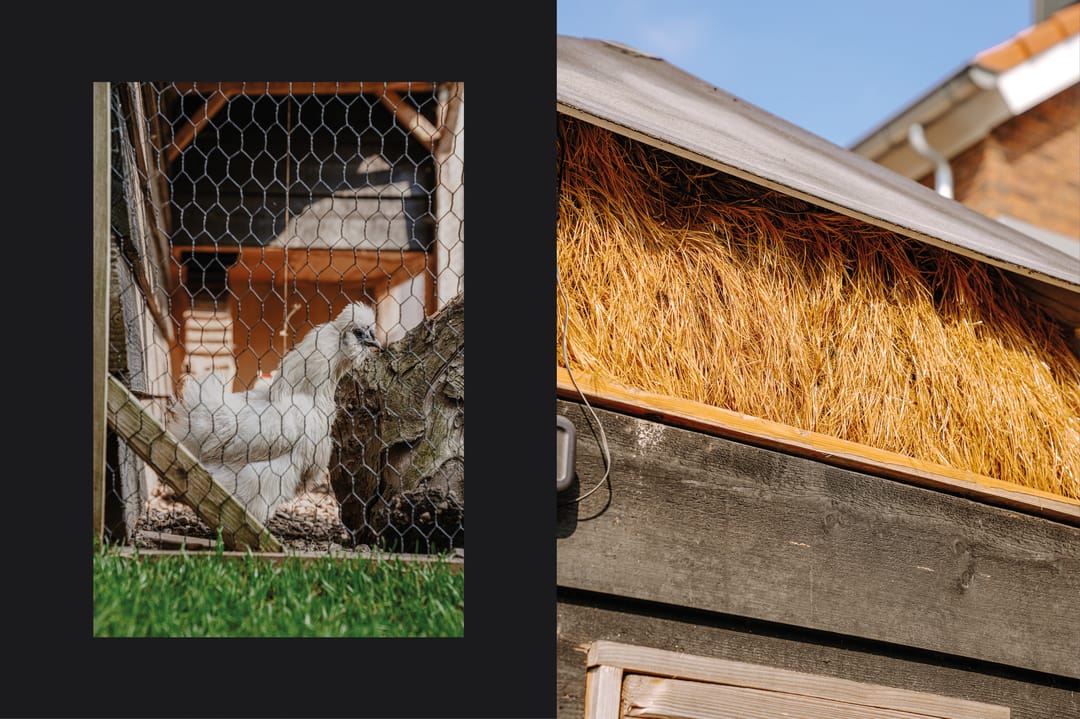 Foto 31 van Grachtstraat 17