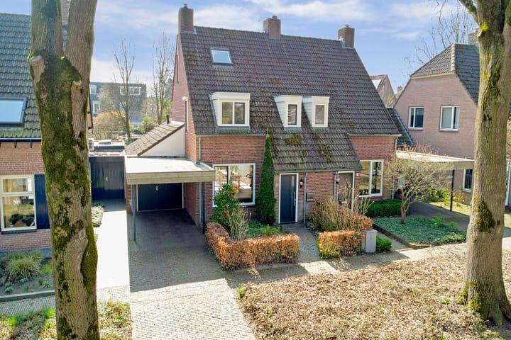 undefined main image