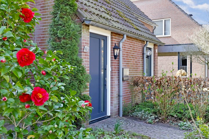 Foto 4 van Berkekker 16