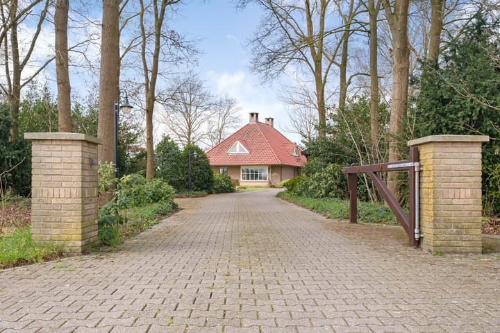 Photo 10 of Glinthaar 39