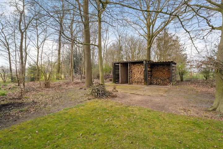 Photo 60 of Glinthaar 39