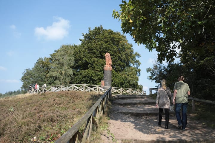 Photo 70 of Glinthaar 39