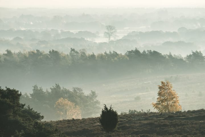 Photo 71 of Glinthaar 39