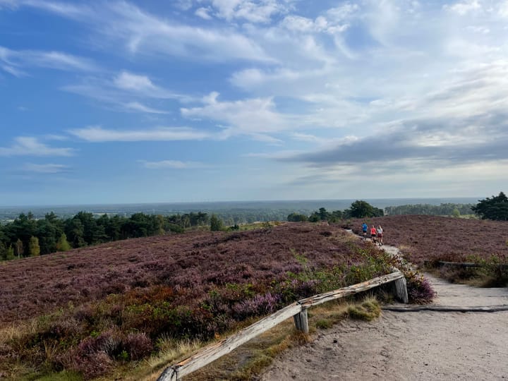 Photo 72 of Glinthaar 39