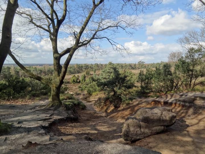 Photo 75 of Glinthaar 39