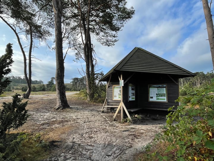 Photo 76 of Glinthaar 39