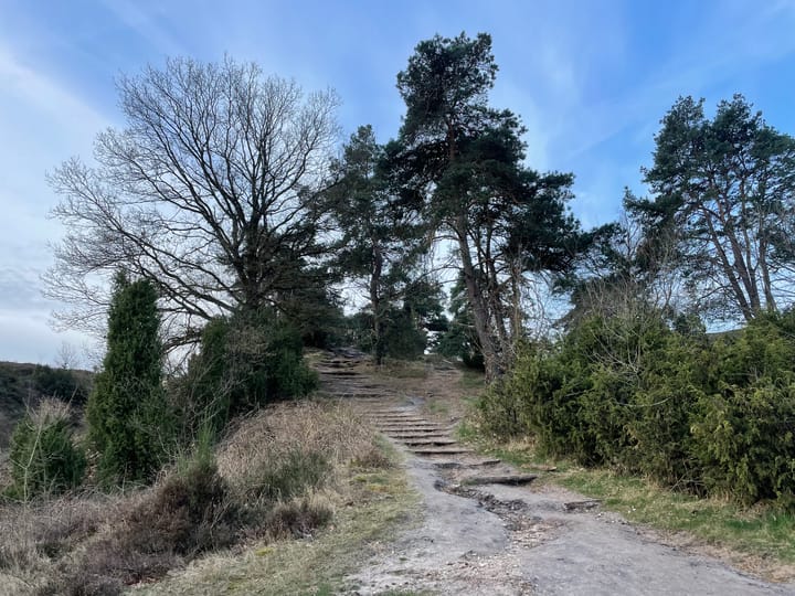 Photo 77 of Glinthaar 39