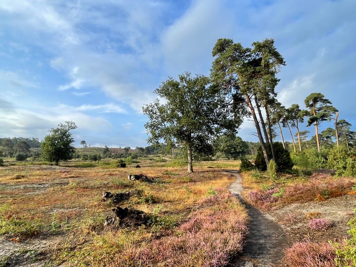 Photo 78 of Glinthaar 39