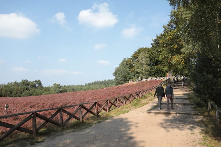 Photo 69 of Glinthaar 39