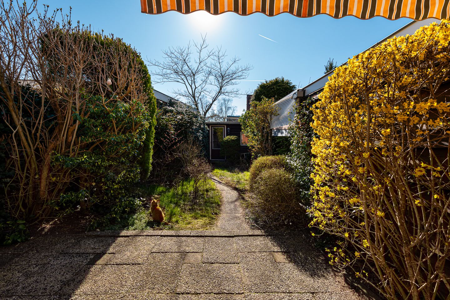 Photo 20 of Mezenstraat 12