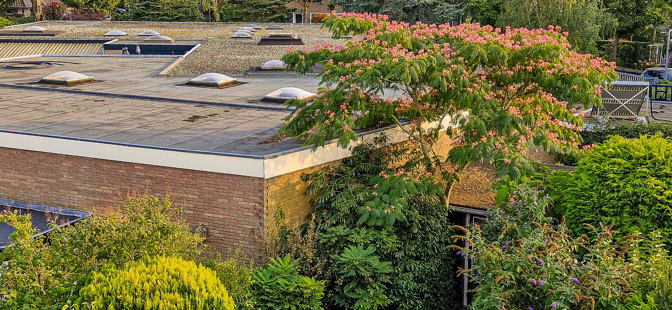 Photo 21 of Mezenstraat 12