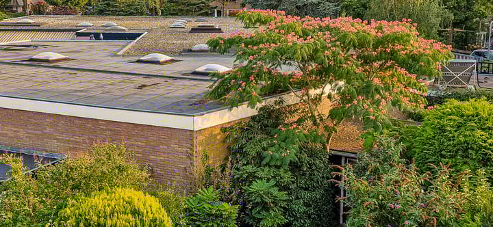 Foto 21 van Mezenstraat 12