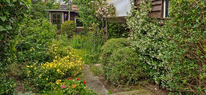 Foto 22 van Mezenstraat 12