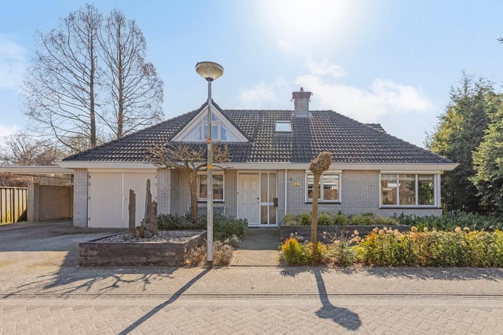 undefined main image