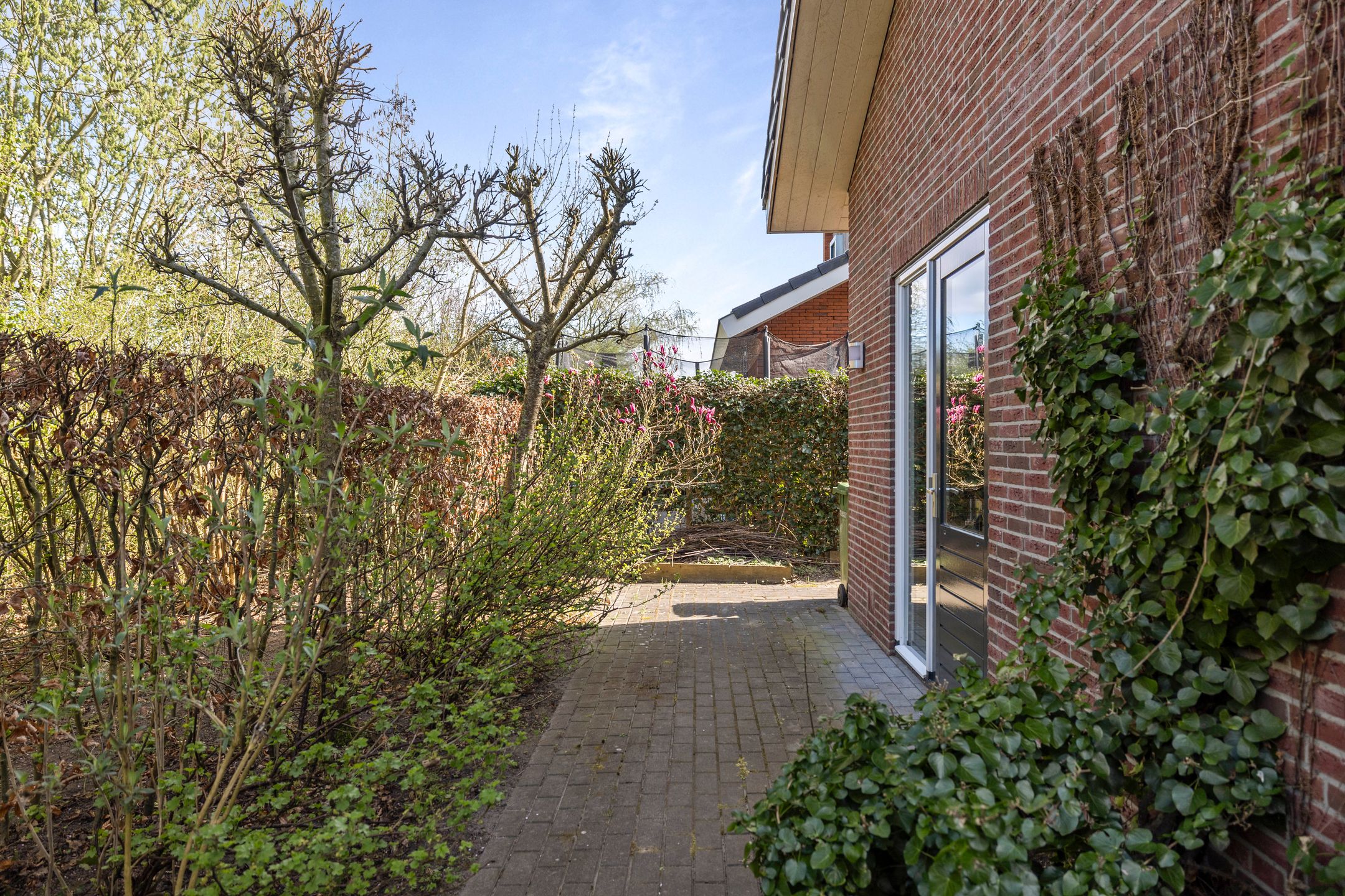 Foto 18 van Alex Roosdorpstraat 20