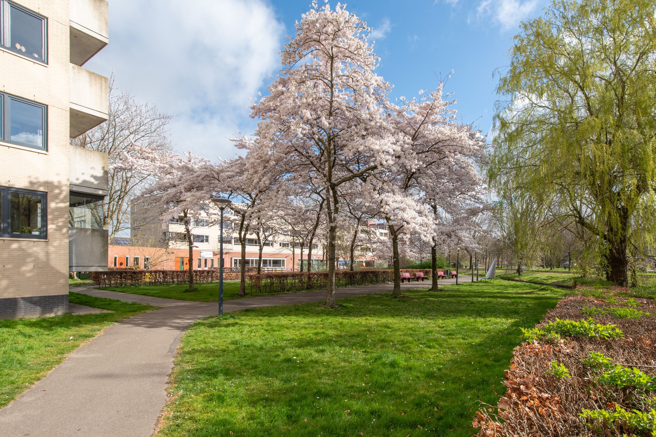 Foto 45 van Orionstraat 201