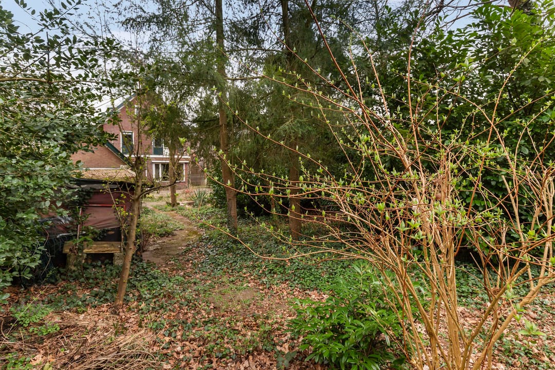 Foto 32 van Waltersingel 110