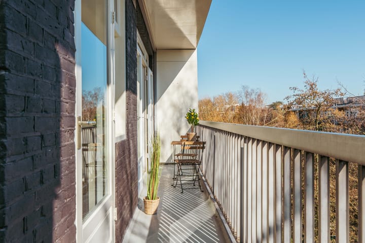 Foto 3 van Witte de Withstraat 134-A3