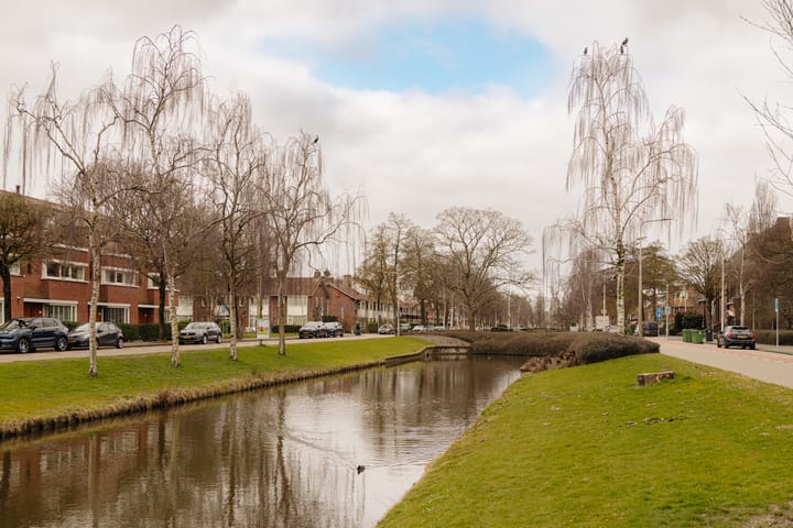 Foto 35 van Graaf Aelbrechtlaan 179