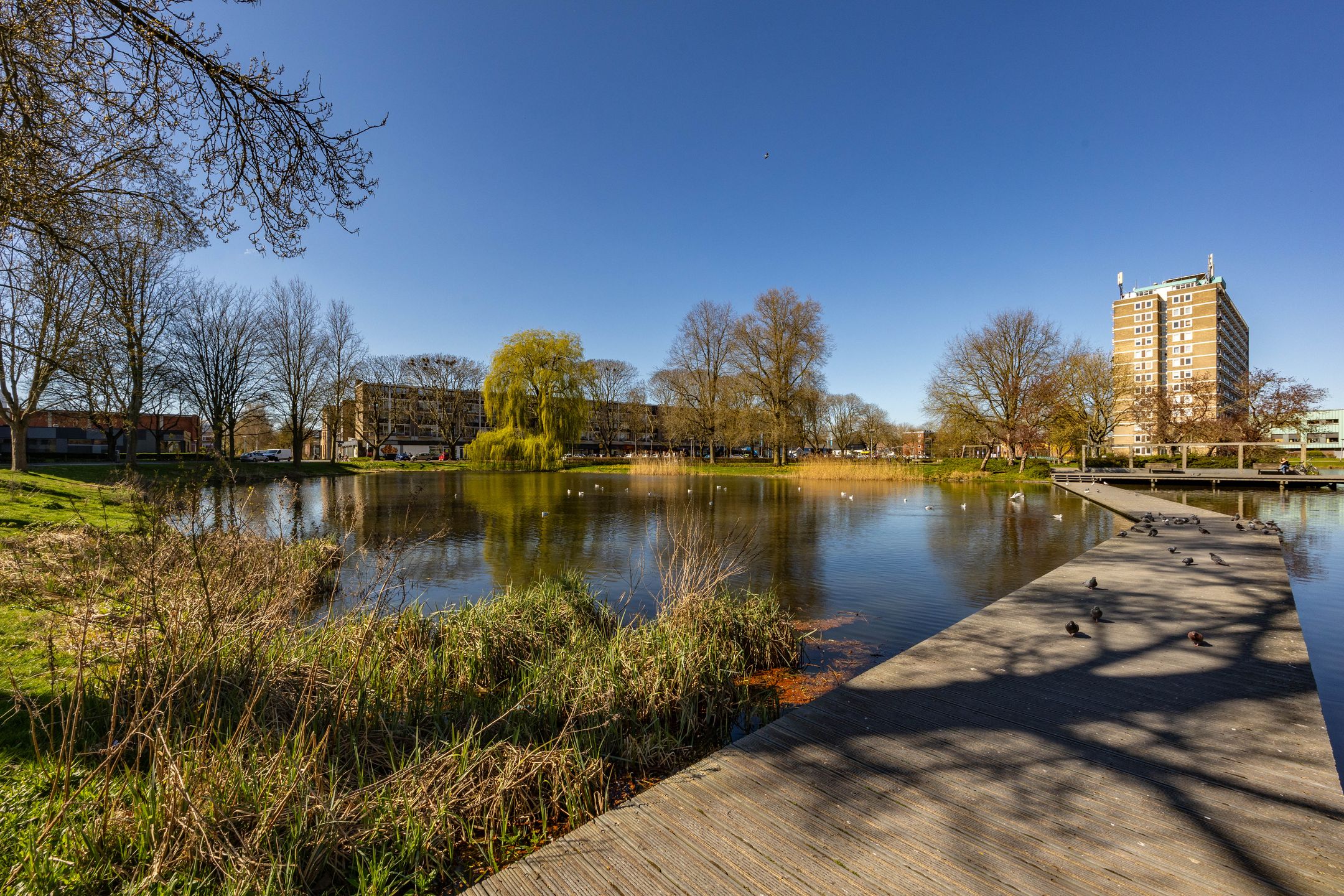 Foto 21 van Van Lenneplaan 183