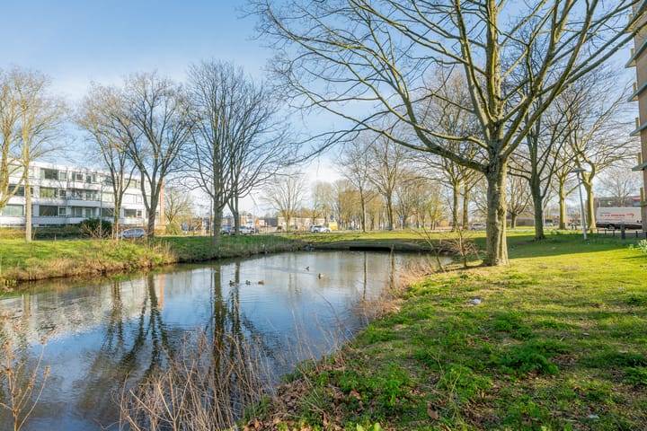 Foto 37 van Euterpedreef 84