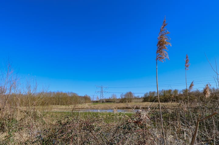 Foto 45 van Marquette 84