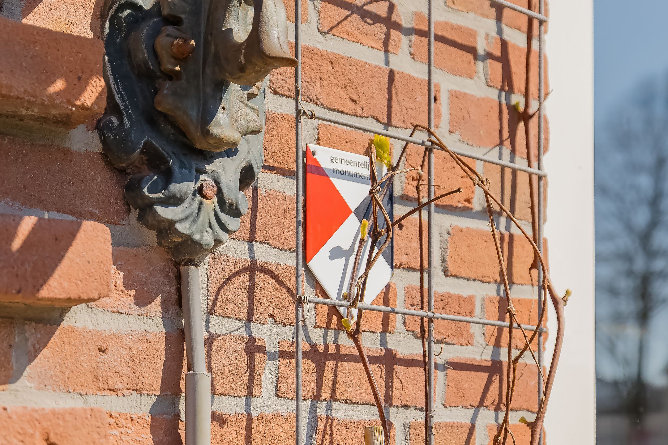 Foto 6 van Dr. Schuitstraat 27