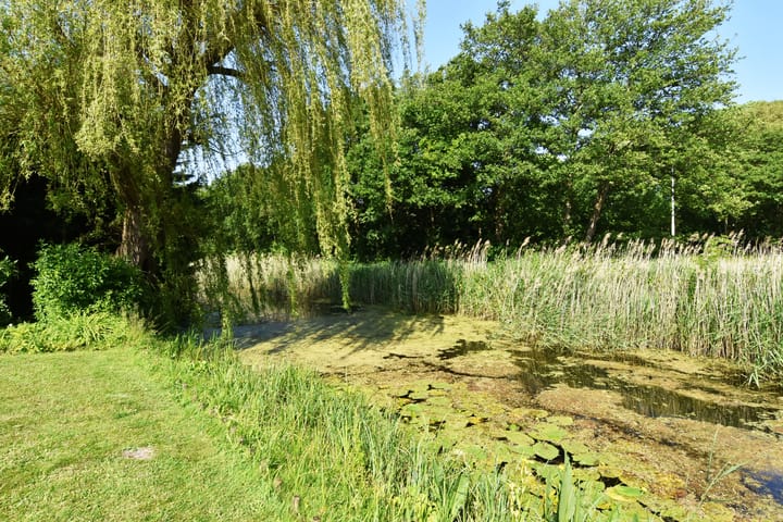 Photo 11 of Pieter Postlaan 10