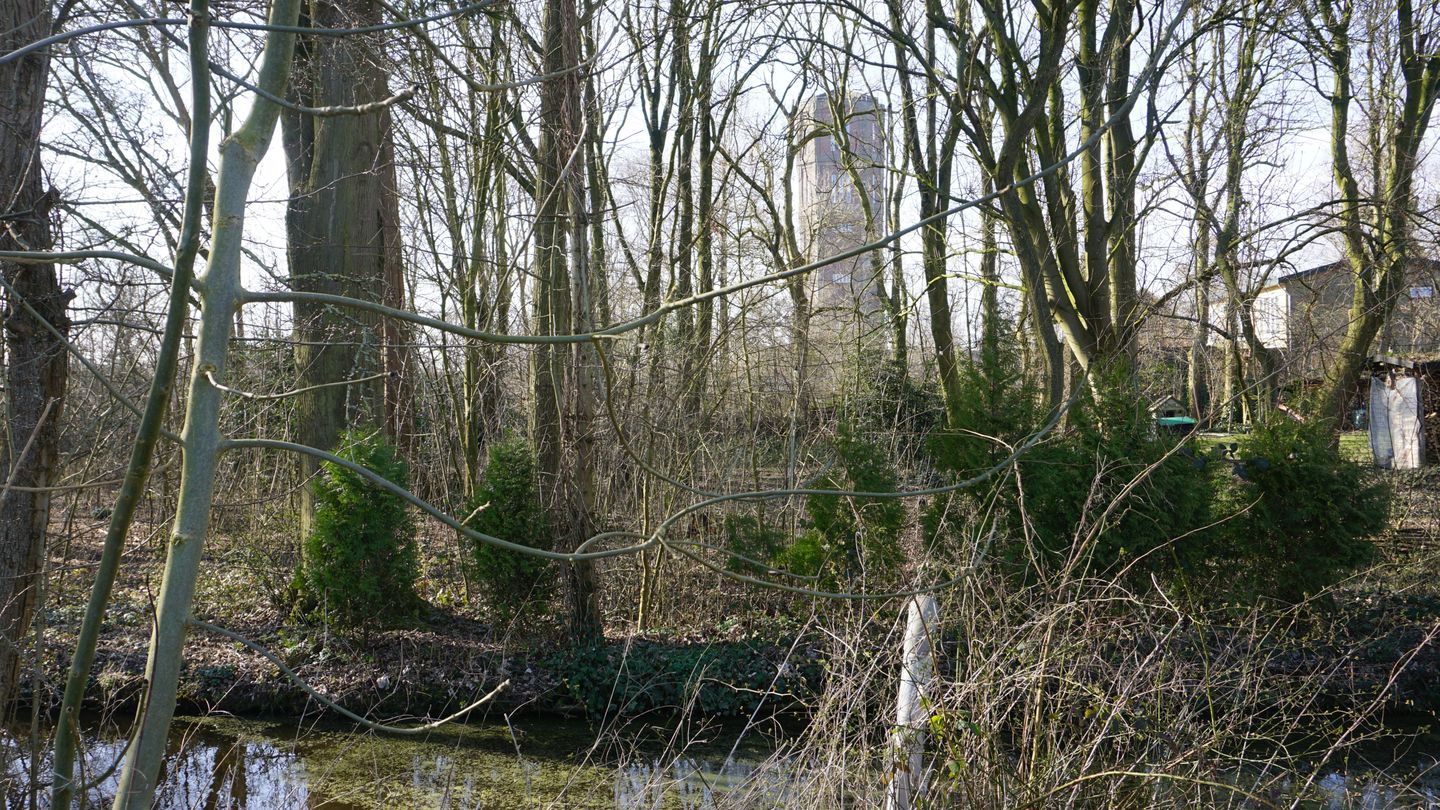 Foto 5 van Jan Dignumszstraat 18