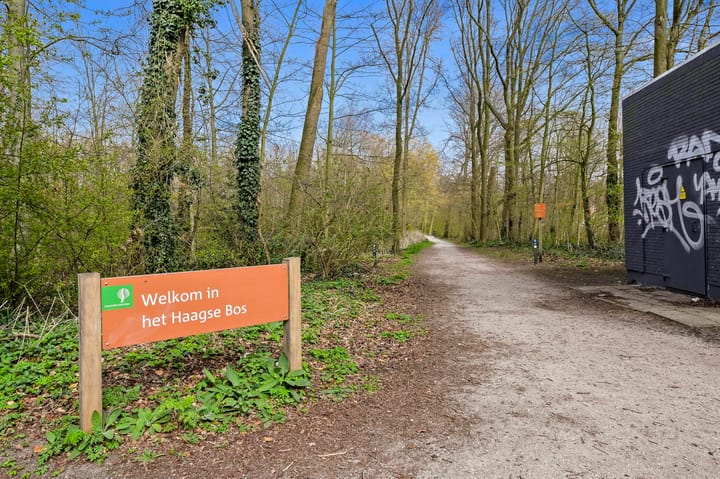 Foto 33 van Joan Maetsuyckerstraat 153