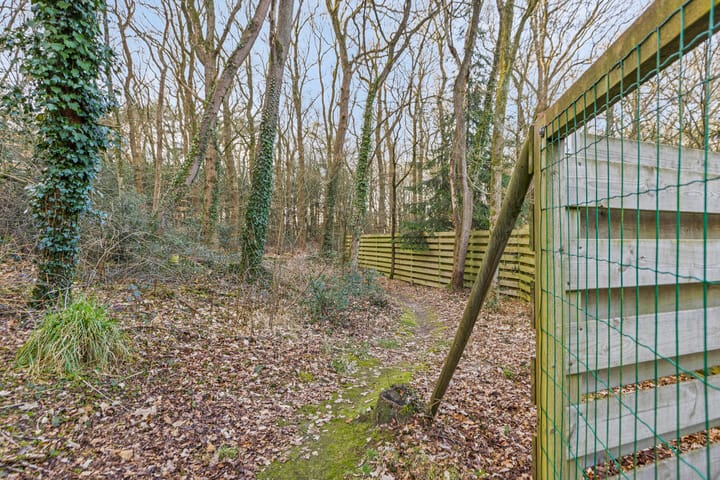 Foto 38 van Hulsthof 58