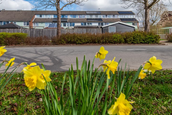 Foto 23 van Vronen 140