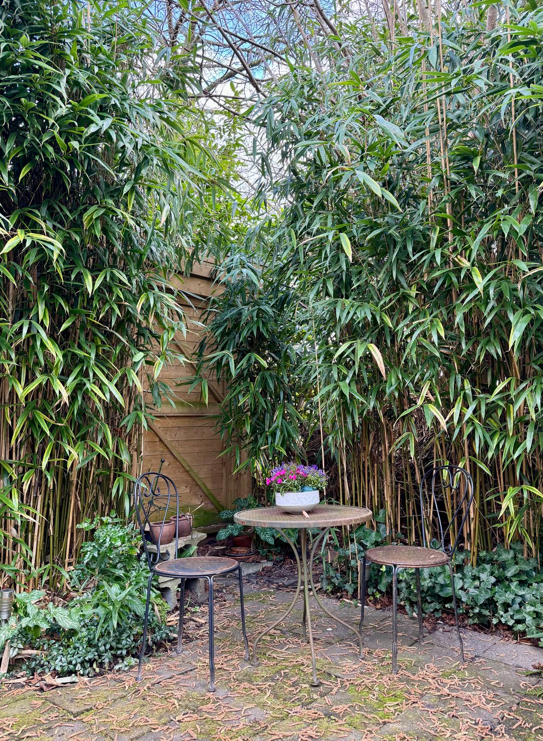 Foto 8 van Lieven de Keystraat 111