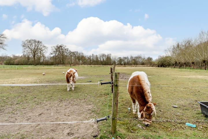 Photo 62 of Hoevesteeg 44