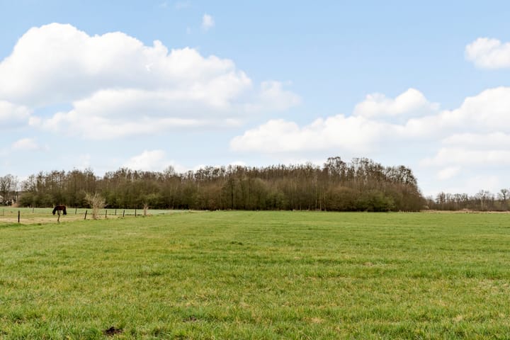 Photo 66 of Hoevesteeg 44